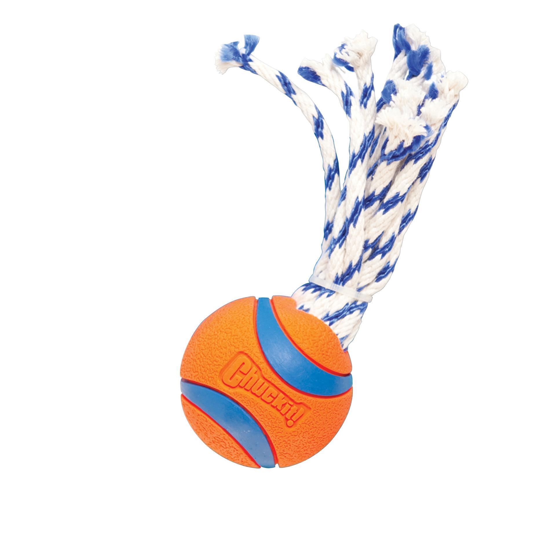 Ultra Toss rope and ball toy in one M 6 cm dog toy ropes