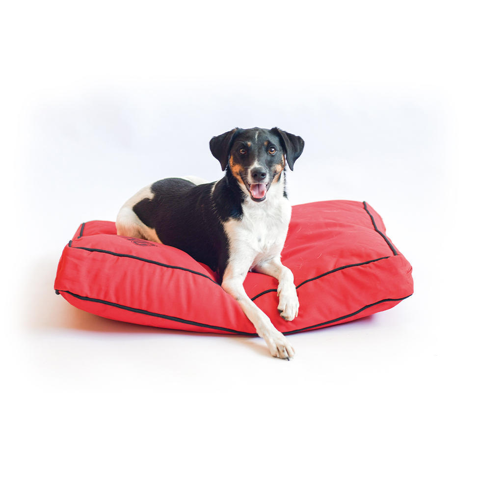 Rectangle dog bed small red with black edge