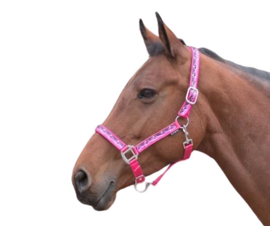 Bermuda Headcollar,  halter