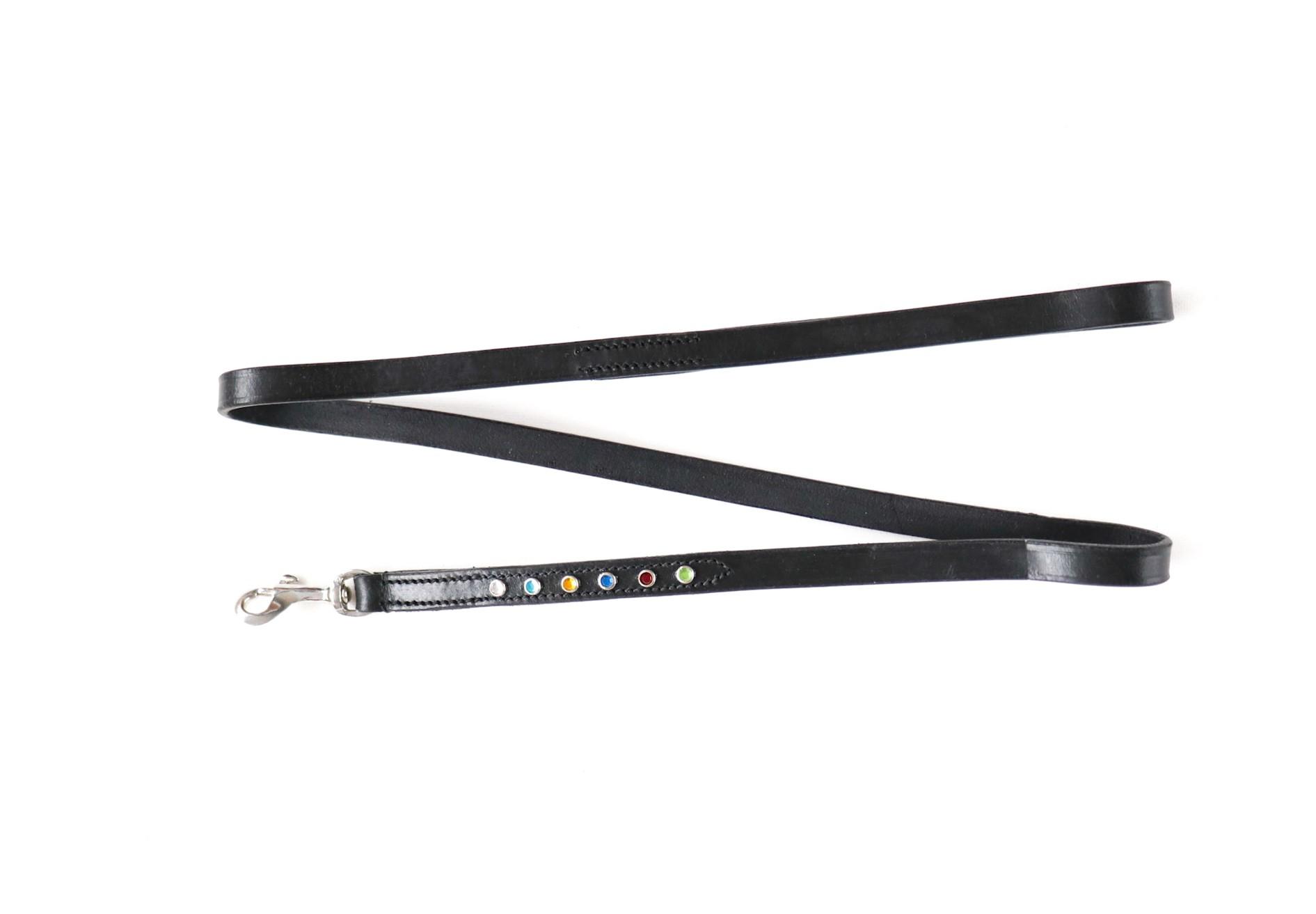 039 Leather dog leash decorated special