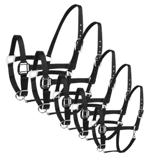 Lucerna Headcollar and halter