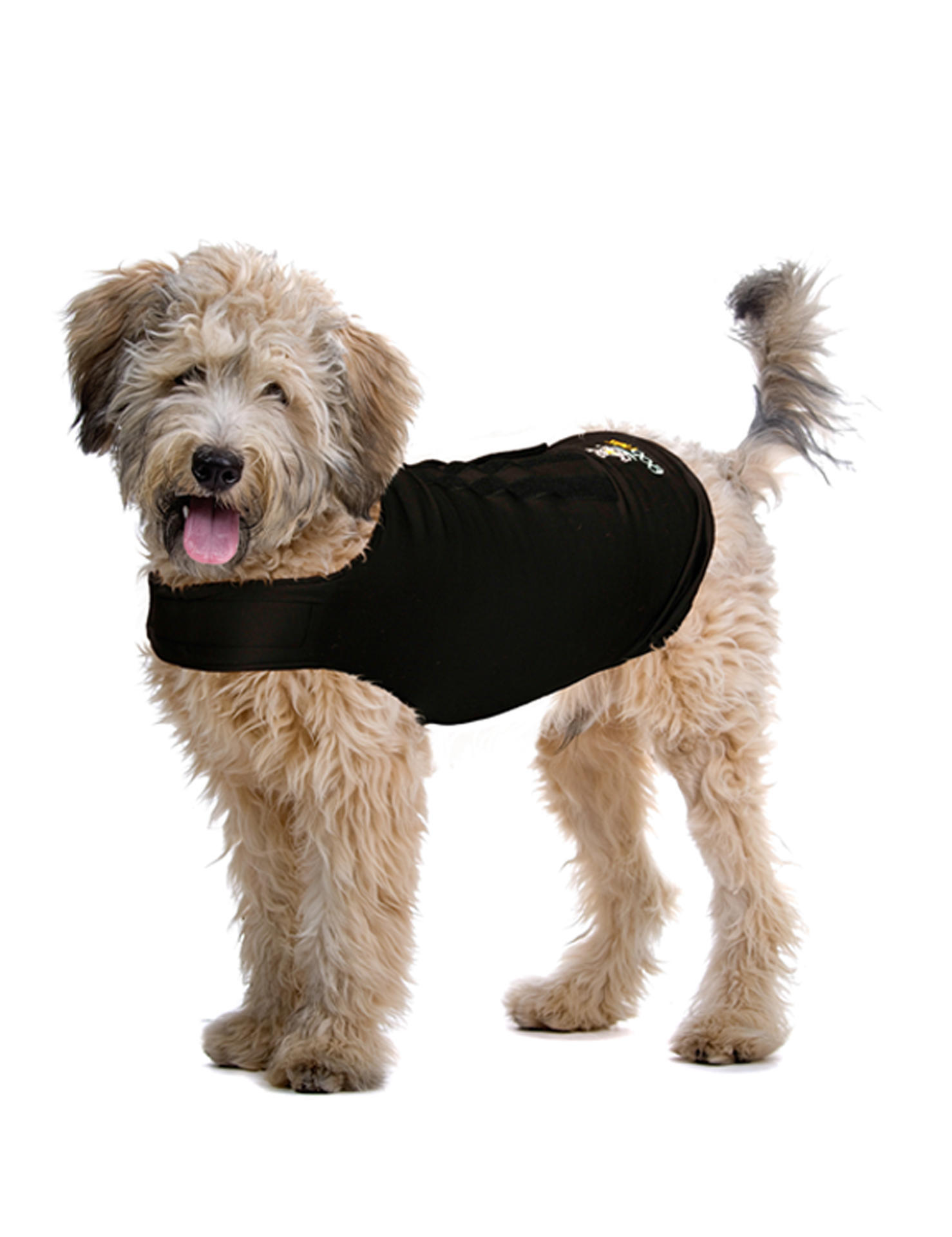 Antistress T-shirt for dogs XS