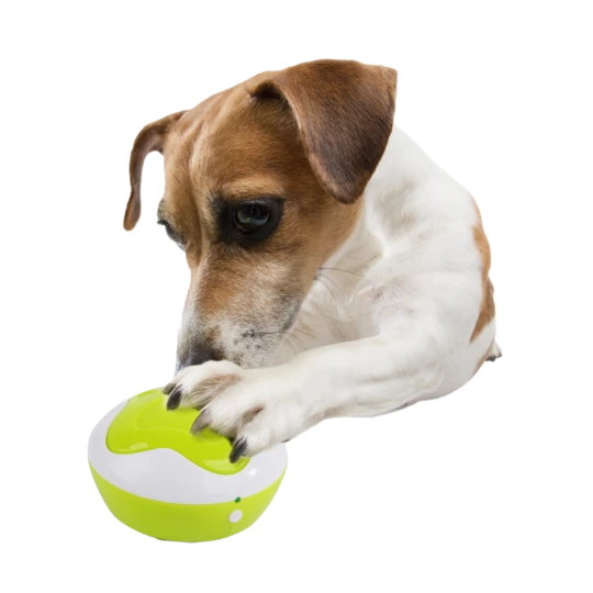 AFP Interactives - Puppy Interpreter