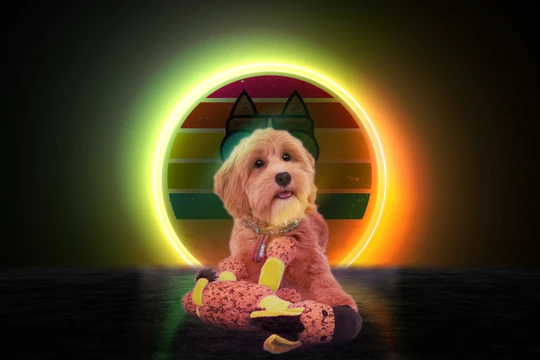 Retro donkey yellow S dog toy