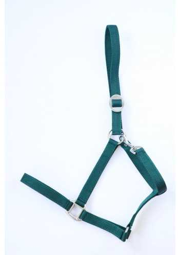 Apollo Nylon headcollar