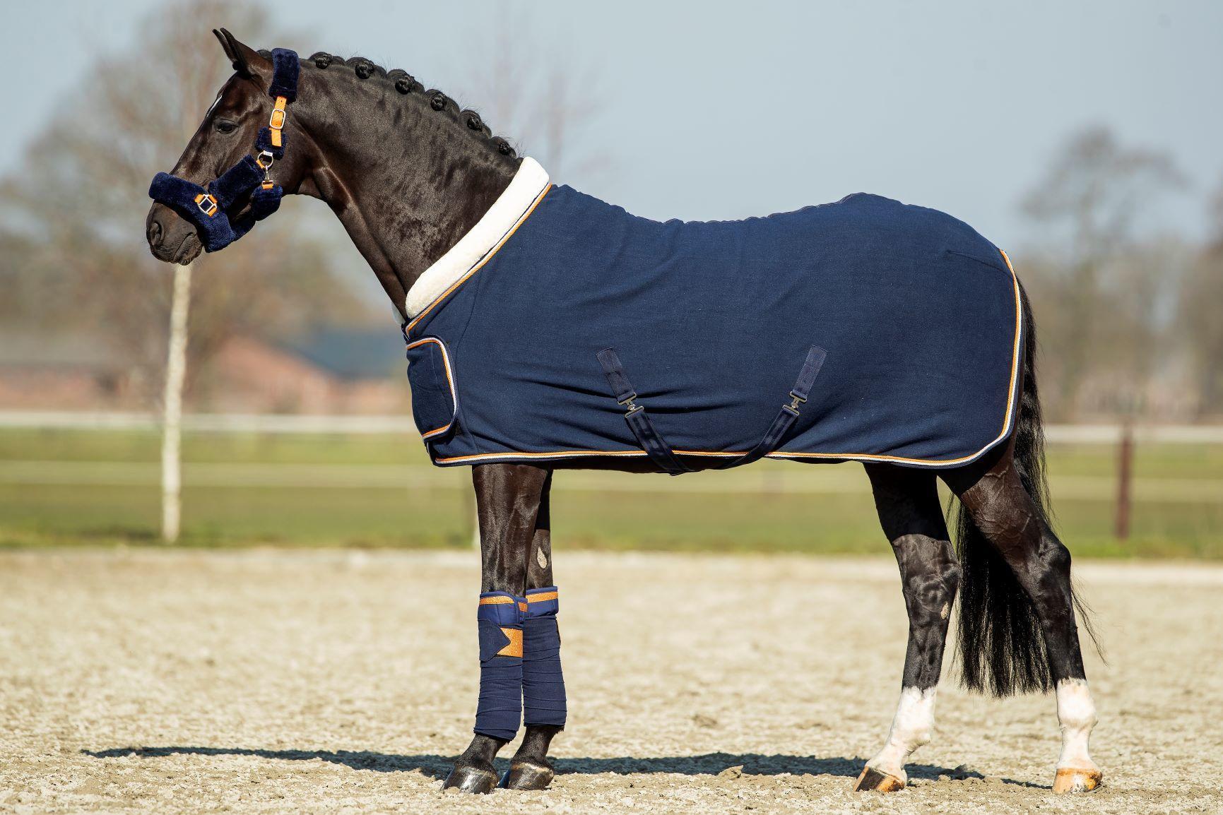 Showtime Blue Moon Horse rug