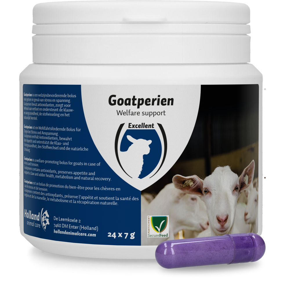 Goatperien Bolus, sheep, goat, health, vitamin, mineral