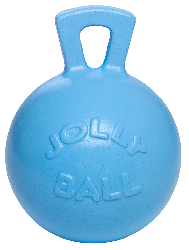 Play ball for horses 2