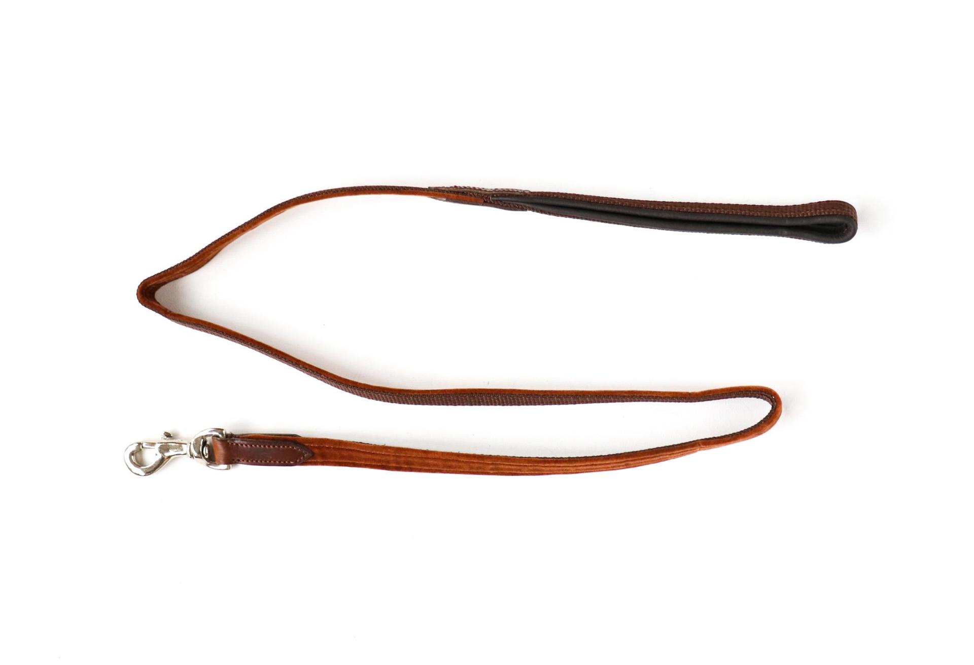 044 Dog leash with carabiner special