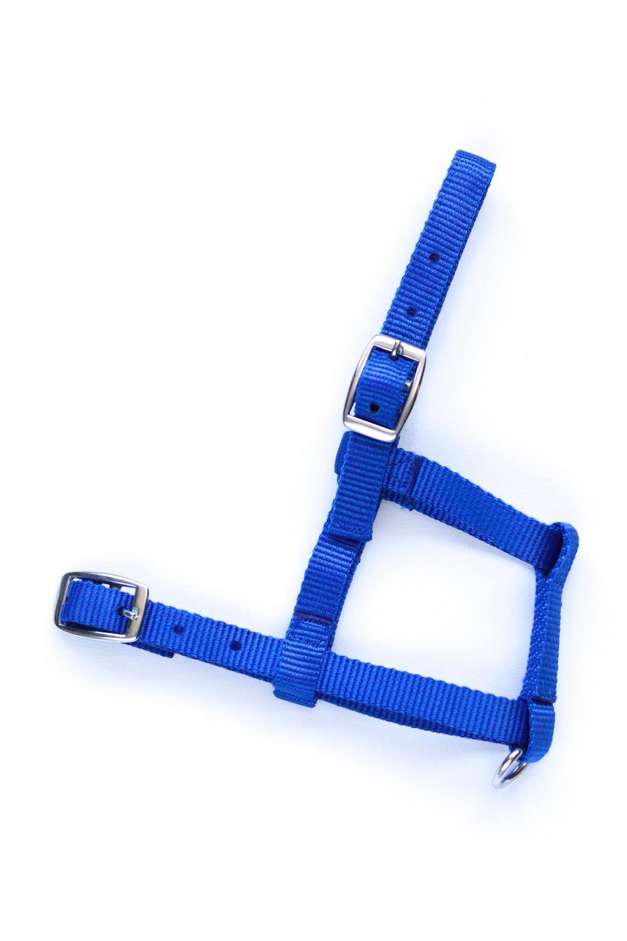 Adria Nylon headcollar