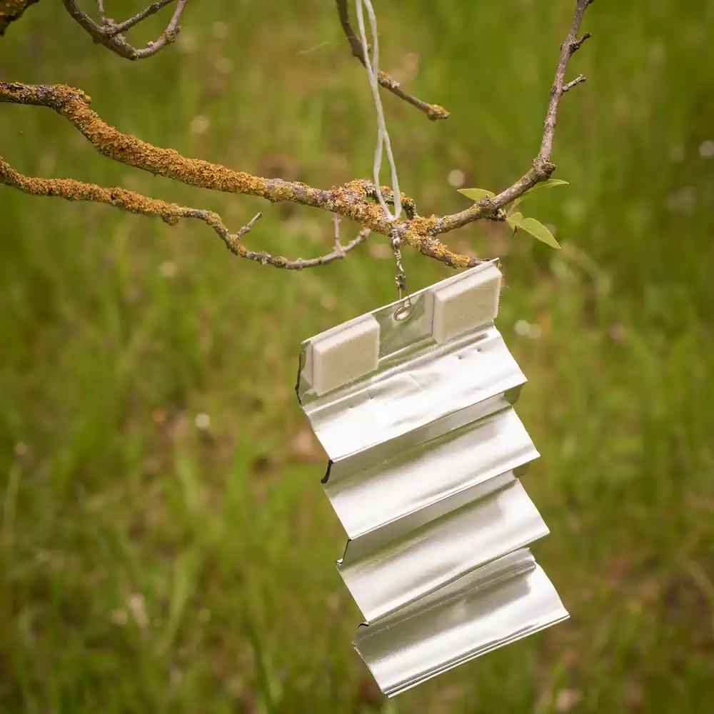 Aluminum strips with odor deposits.