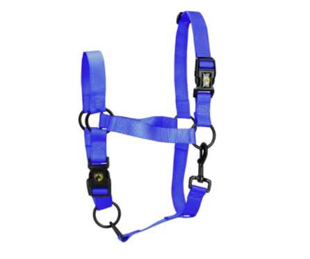 Monza Headcollar, halter