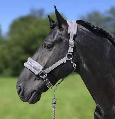 Lauro Headcollar,  halter