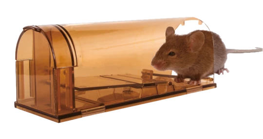 Live catch mouse trap for animal husbandry