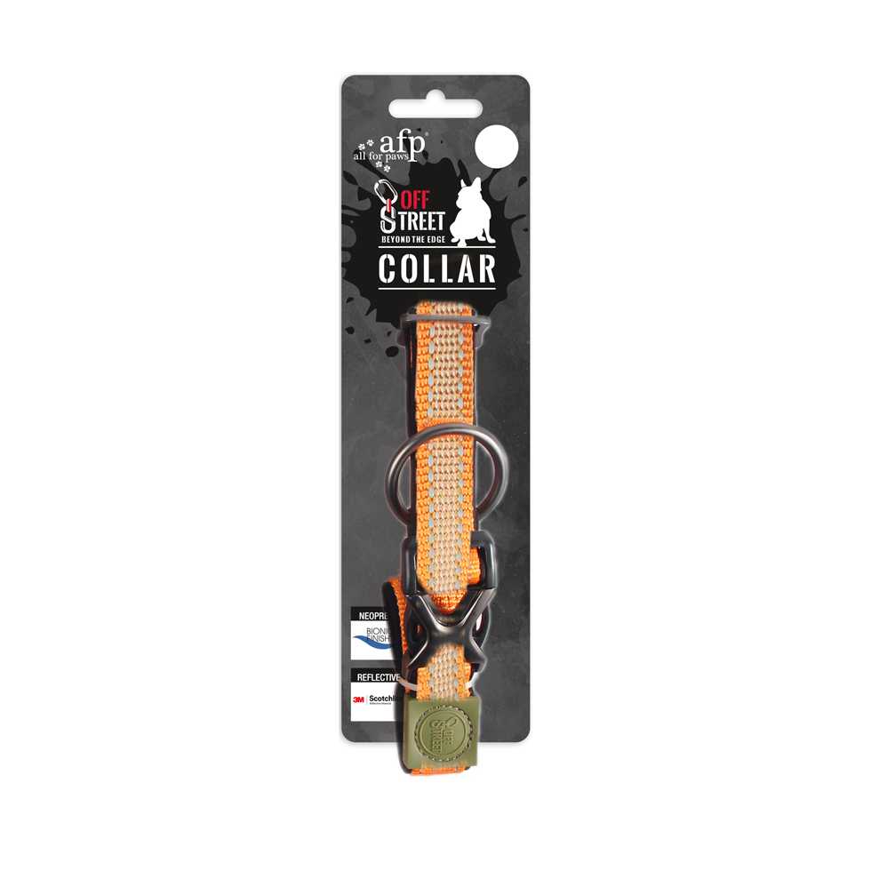 Dog basic collar L