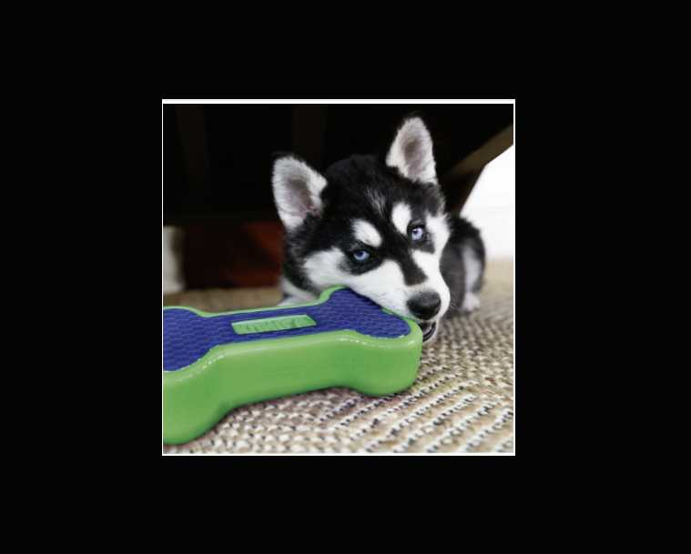 Bone shaped chew toy for dogs large