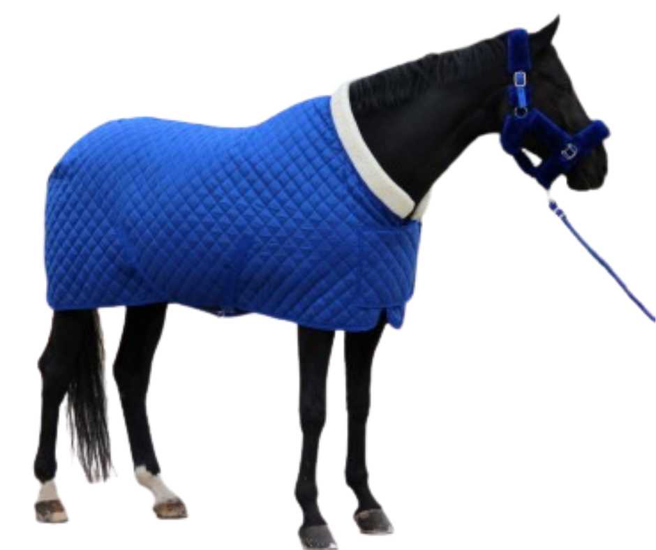 Showtime Desira horse rug