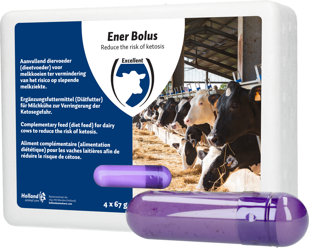 Energy Bolus against ketosis, cattle after parturition, calving