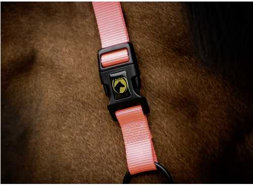 Monza Headcollar, halter