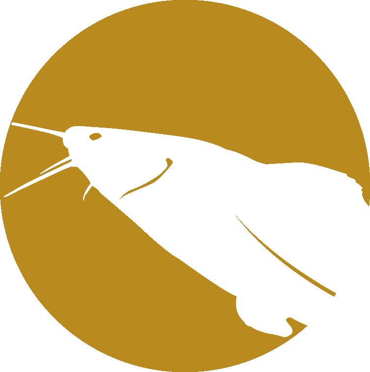 aquarisztika