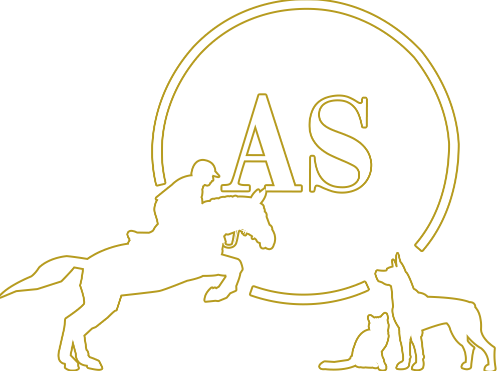 anli-shop-logo
